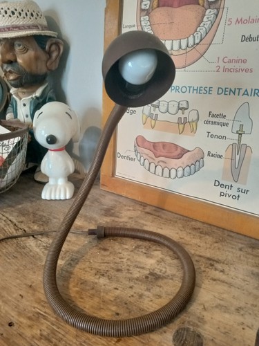 Lampe serpent cobra - ",
